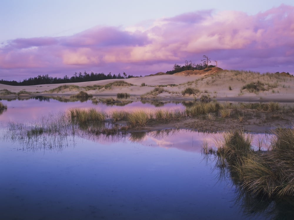 An ephemeral pool reflects the morning sky; Reedsport, Oregon, United