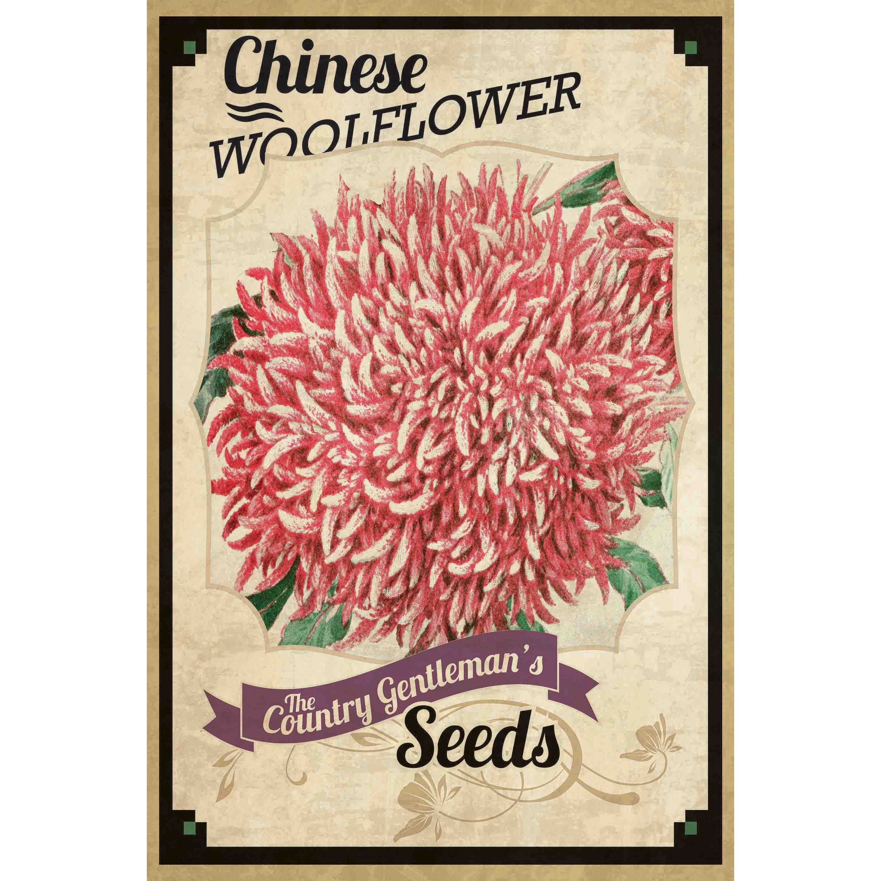 Marmont Hill "Flower Packet Woolflower" Painting Print on Canvas