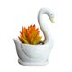thumbnail image 1 of Charming White Ceramic Swan Planter for Succulents, Single Pot, 1 of 5