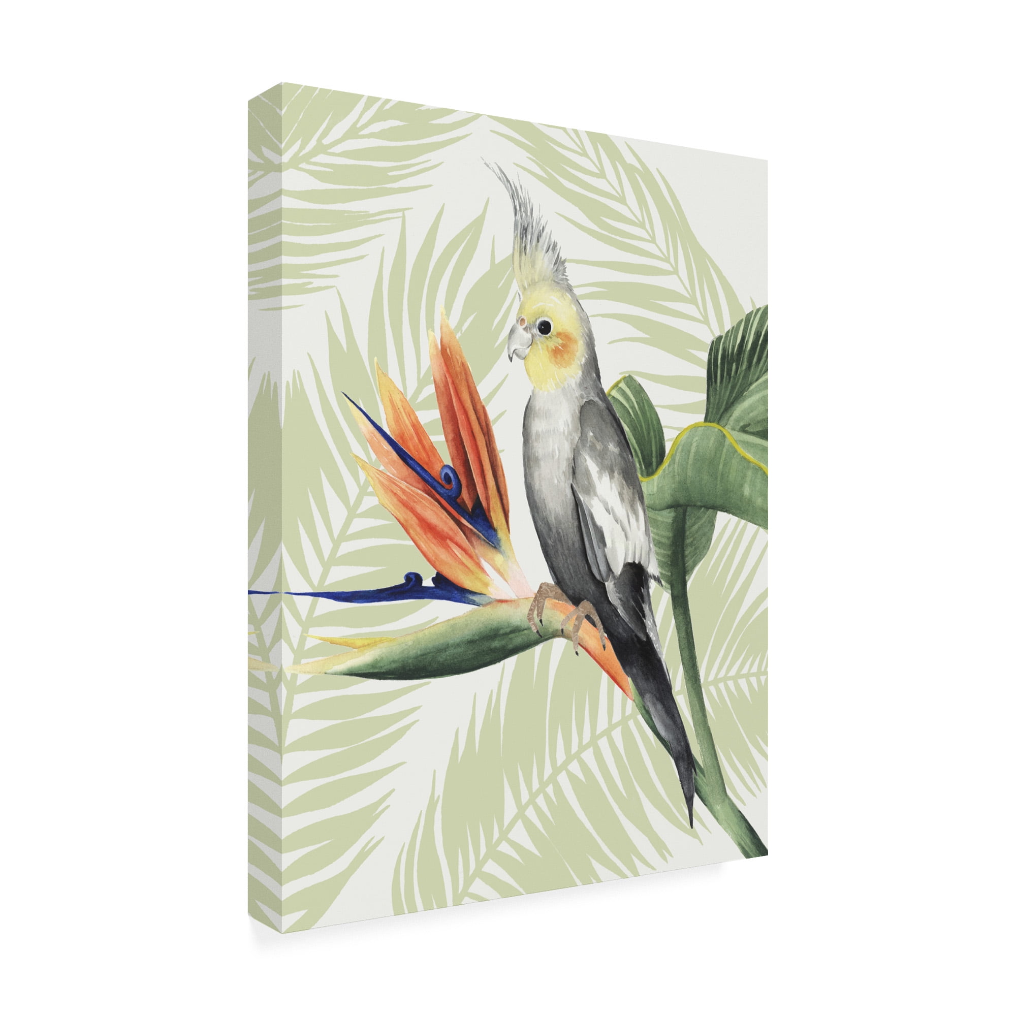 Trademark Fine Art 'Avian Paradise I' Canvas Art by Grace Popp
