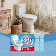 thumbnail image 2 of Toilet cleaning tablets remove toilet odors and stains; regular maintenance for a clean and shiny finish; automatic cleaner., 2 of 4