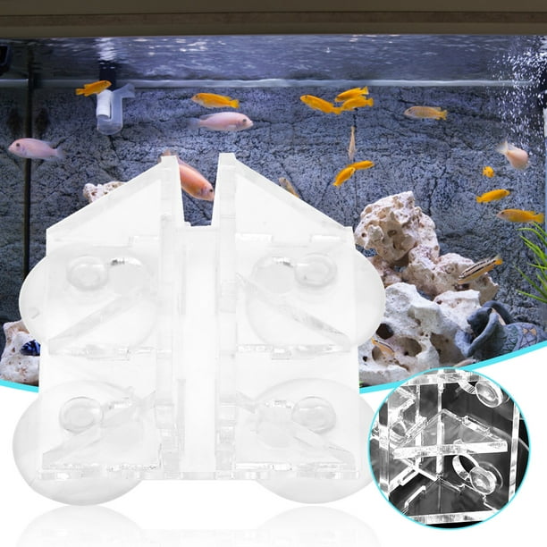 Support ventouse pour aquarium - Aquarium Poisson 