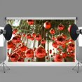 thumbnail image 1 of Fondos de Navidad ABPHQTO 150x220cm Decorados con Pino Bola Roja, 1 of 2