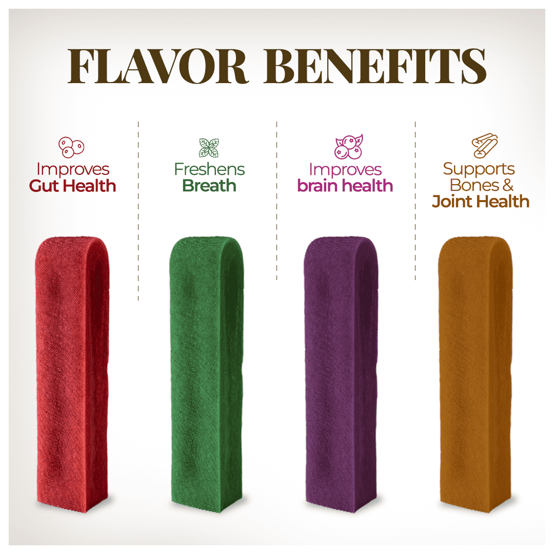Dogsee Multiflavor Yak Cheese Dental Chews Large Dogs 1 lb 4 Aggressive-Chewer Bars