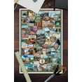thumbnail image 3 of Protect our National Parks Collection, Collage (12x18 Wall Art Poster, Room Decor), 3 of 3