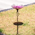 thumbnail image 4 of MUMTOP 31 Inch Height Glass Birdbath Birdfeeder with Metal Stake Garden Yard Outdoor Pink, 4 of 7