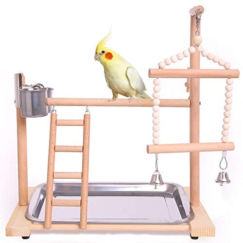 QBLEEV Bird Playground Birdcage Playstand Parrot Play Gym Parakeet Cage Decor Budgie Perch Stand