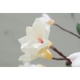 thumbnail image 3 of Artificial Flower Vine Magnolia Simulation Flowers Fake Plant for Home Decor, 3 of 7
