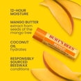 thumbnail image 2 of Bálsamo labial hidratante Burts Bees superfruta 4 x 0.15 oz, 2 of 9