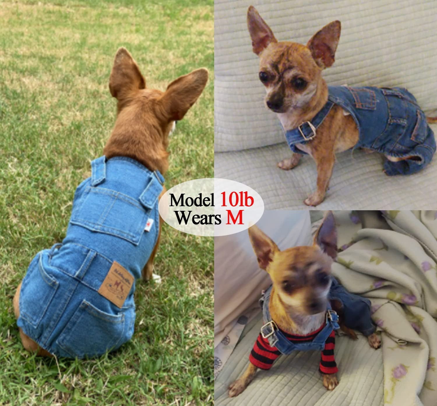 Amazon.com : Pet Clothes Denim Dog Jeans Grid Jumpsuit Overall Hoodie Coat  for Small Medium Puppy Cat : Pet Supplies