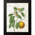 thumbnail image 2 of Schlabach, Sue 12x14 Black Modern Framed Museum Art Print Titled - Classic Citrus VI Shiplap, 2 of 5