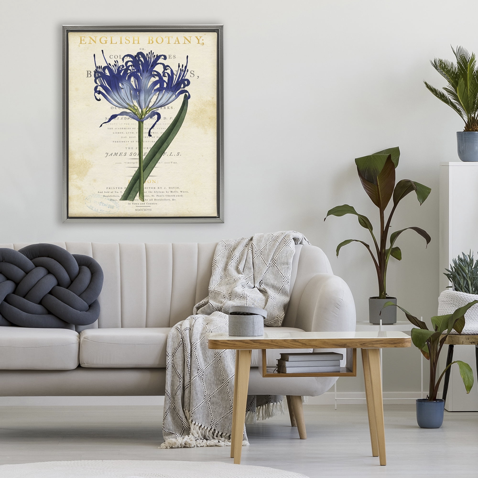 Stupell Industries English Botany Blue Floral Gray Framed Floater Canvas Wall Art, design by Susan Arnot