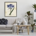 thumbnail image 3 of Stupell Industries Shabby Chic English Botany Blue Floral Gray Floating Frame Canvas Art, 25 x 31, by Susan Arnot, 3 of 8