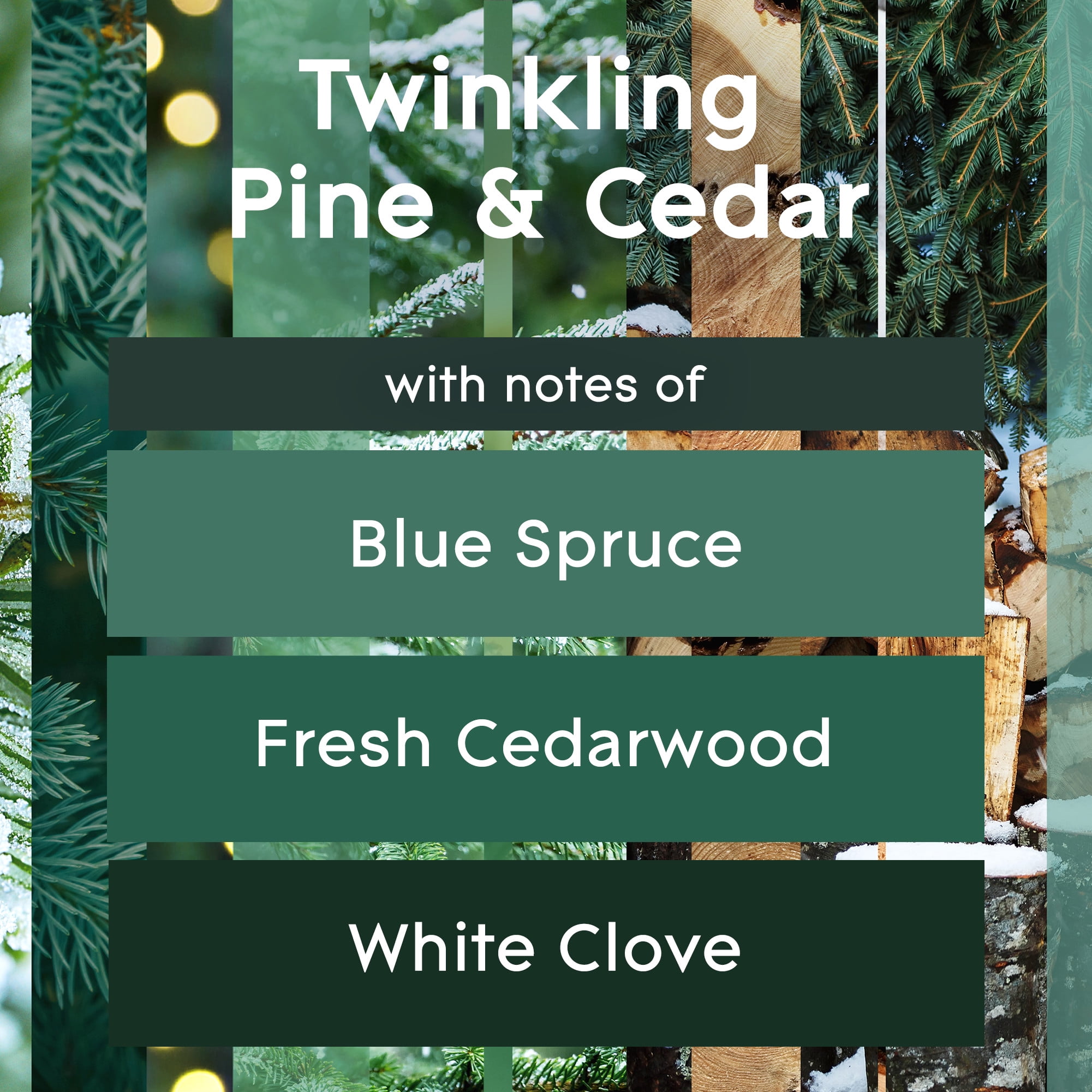 (3 pack) Glade PlugIns Air Freshener Refills, Twinkling Pine & Cedar, Fragrance Infused with Essential Oils, 0.67 oz, 5 Count