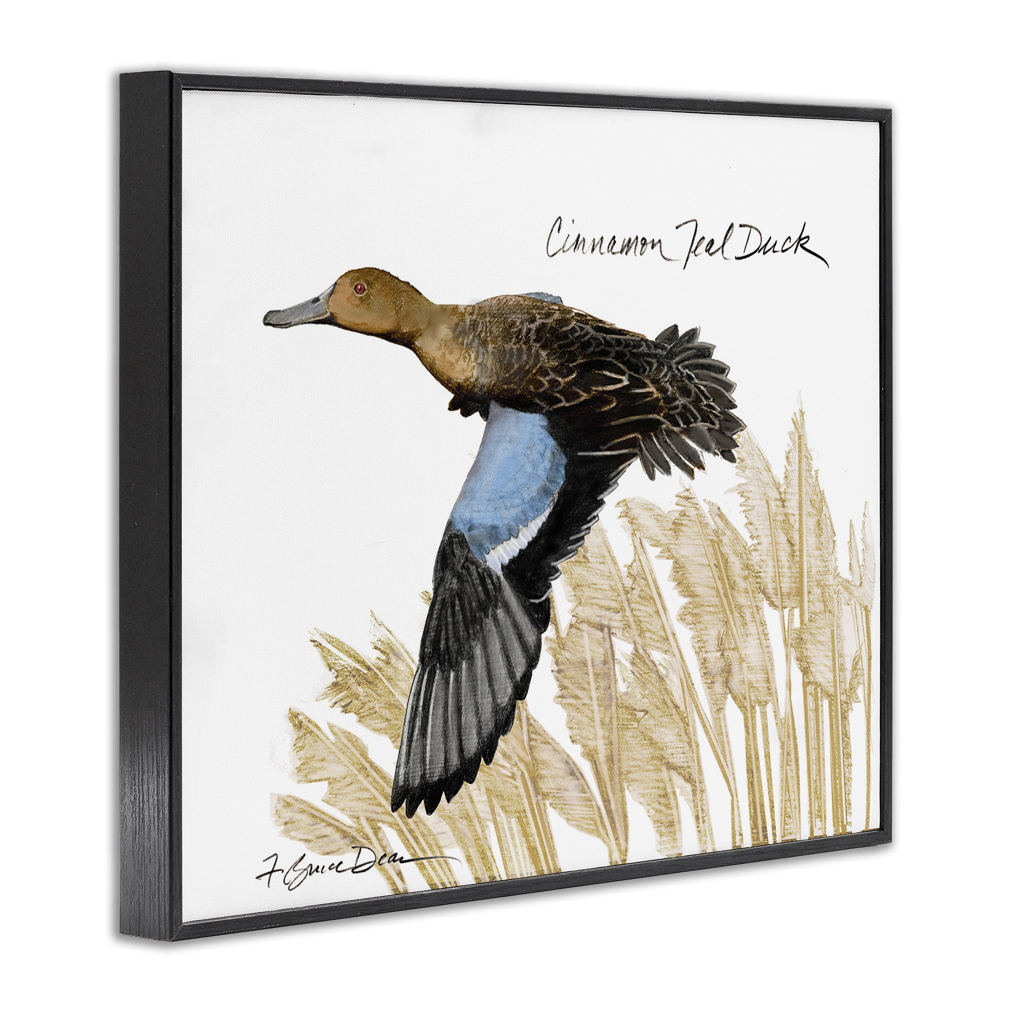 Stupell Industries Cinnamon Teal Duck Flying Animals & Insects Painting Black Framed Art Print Wall Art, 20 x 16