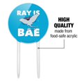 thumbnail image 6 of Acrylic Ray is Bae Funny Humor Cake Topper Party Decoration for Wedding Anniversary Birthday Graduation, 6 of 7