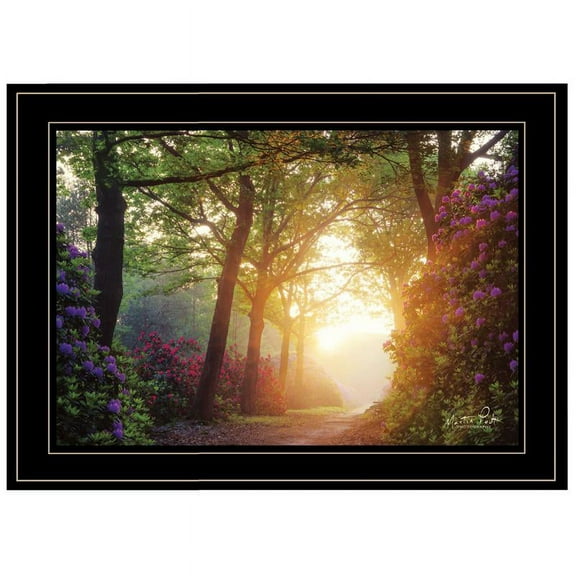 Color Overdose by Martin Podt Printed Wall Art Wood Multi-Color