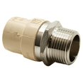 thumbnail image 3 of Thrifco 6624034 1/2 Male CPVC Transition Adapter, 3 of 6