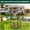 27*40 inches, variant on Geetinfly Dog Playpen,8pc Dog Fence Indoor Outdoor,Heavy Duty Metal Pet Puppy Exercise Pen with Wide Door Low Threshold,Portable for Camping Garden Yard,32*40 inches