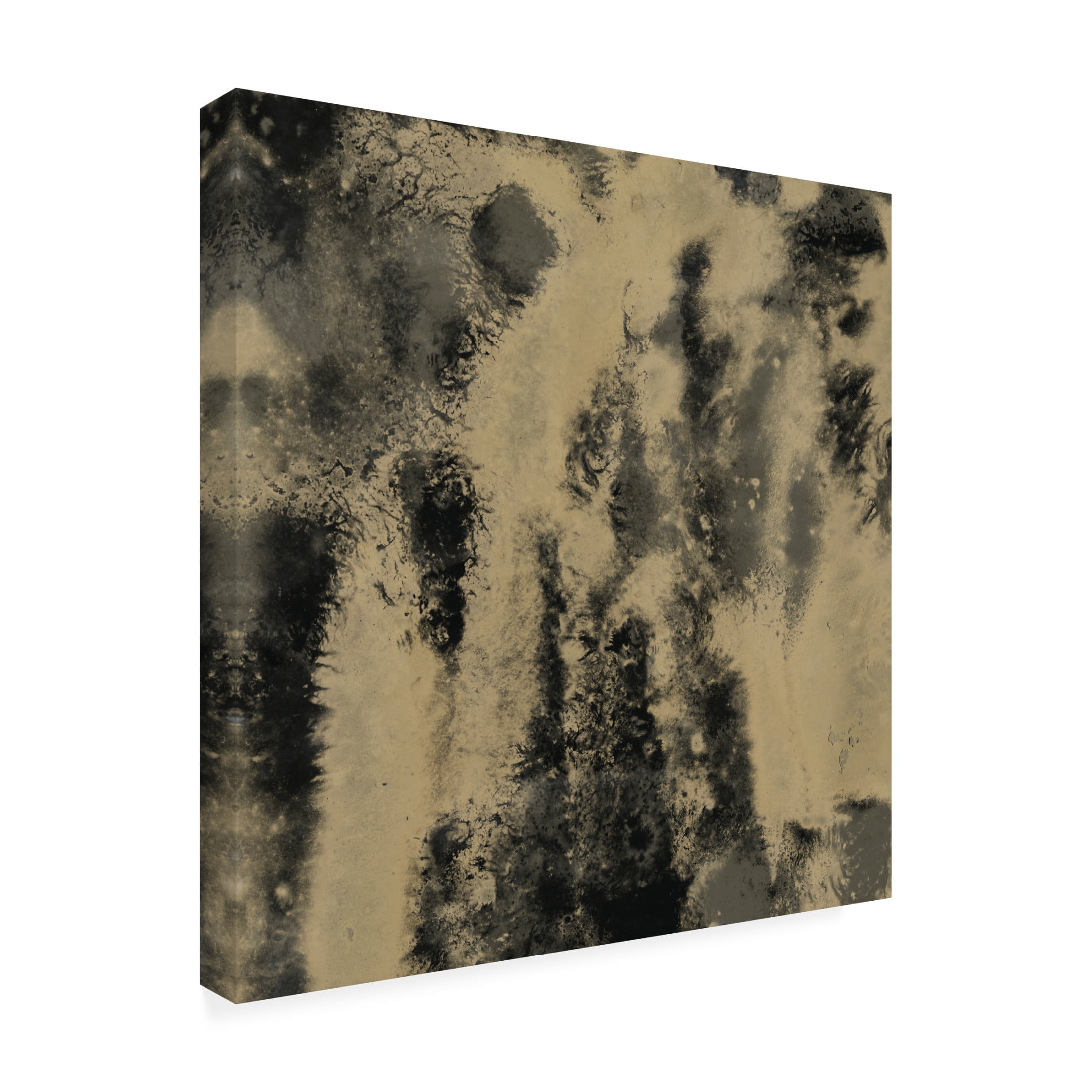 Trademark Fine Art June Erica Vess Onyx Nebula I Canvas Wall Art