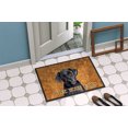thumbnail image 4 of Carolines Treasures SC9136JMAT 24 x 36 in. Labrador Indoor Or Outdoor Doormat, 4 of 4