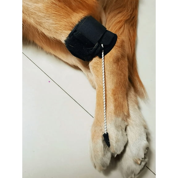 Dog Knuckling Corrector Toe Dragging Brace for Rear Back Leg Paw with Sciatic Nerve Injuries Myelopathy and Spinal Injuries