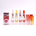 thumbnail image 3 of Tellus's popular ins moisturizing temperature-changing lipstick 4 colors waterproof lipstick long-lasting high moisturizing color-changing lipstick (4 pieces), 3 of 4