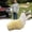 #F, variant on Borikise Wagging Tail for Car Remote-Controlled Electric Tail Adds Fun Motion to Vehicle Exterior, Universal Fit for Cars and Trucks