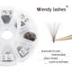 thumbnail image 4 of Extensiones de pestañas con volumen WENDY LASHES 10D, 0,07 mm, 9-16 mm, 500 unidades, 4 of 7