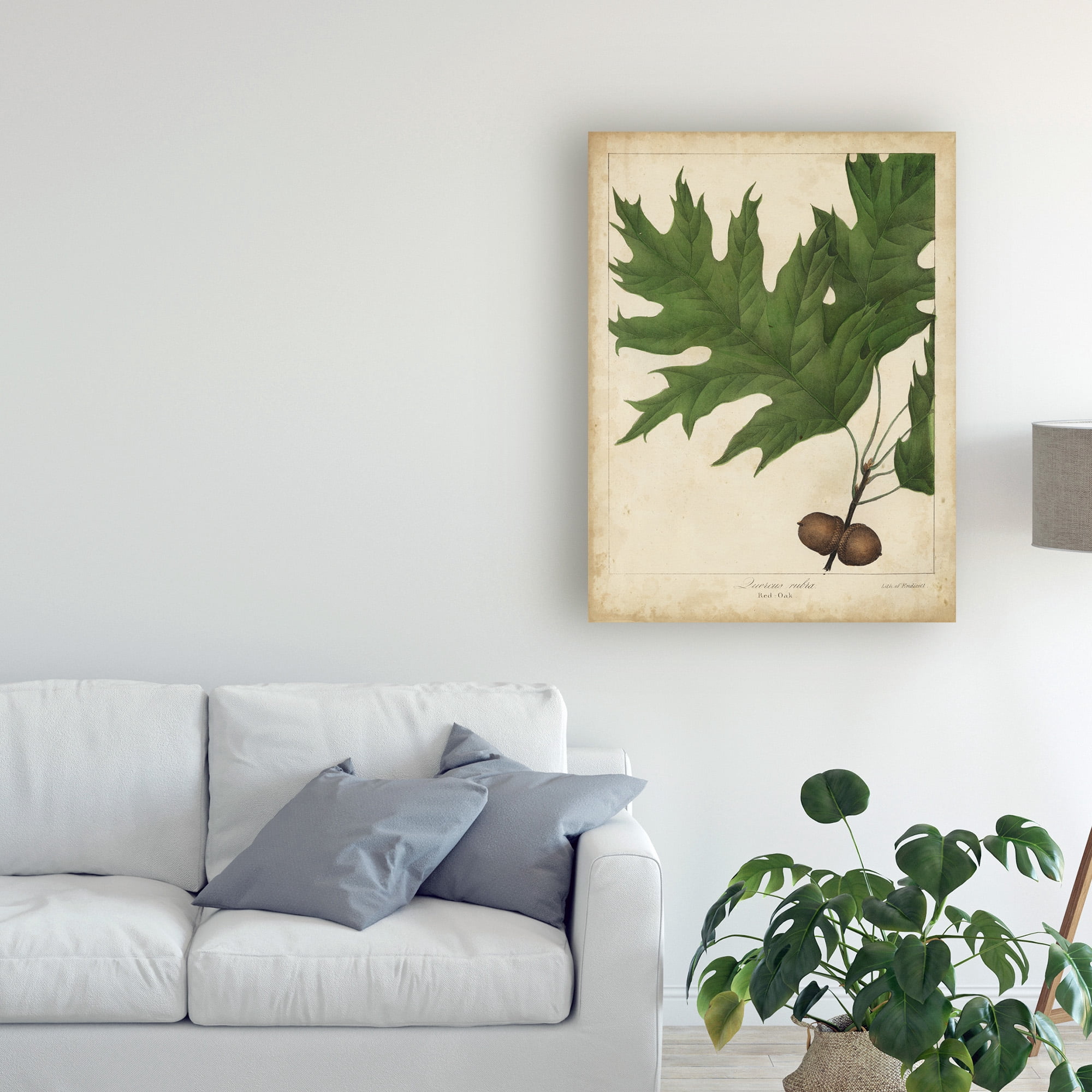 Trademark Fine Art 'Oak Leaves And Acorns II' Canvas Art by John Torrey