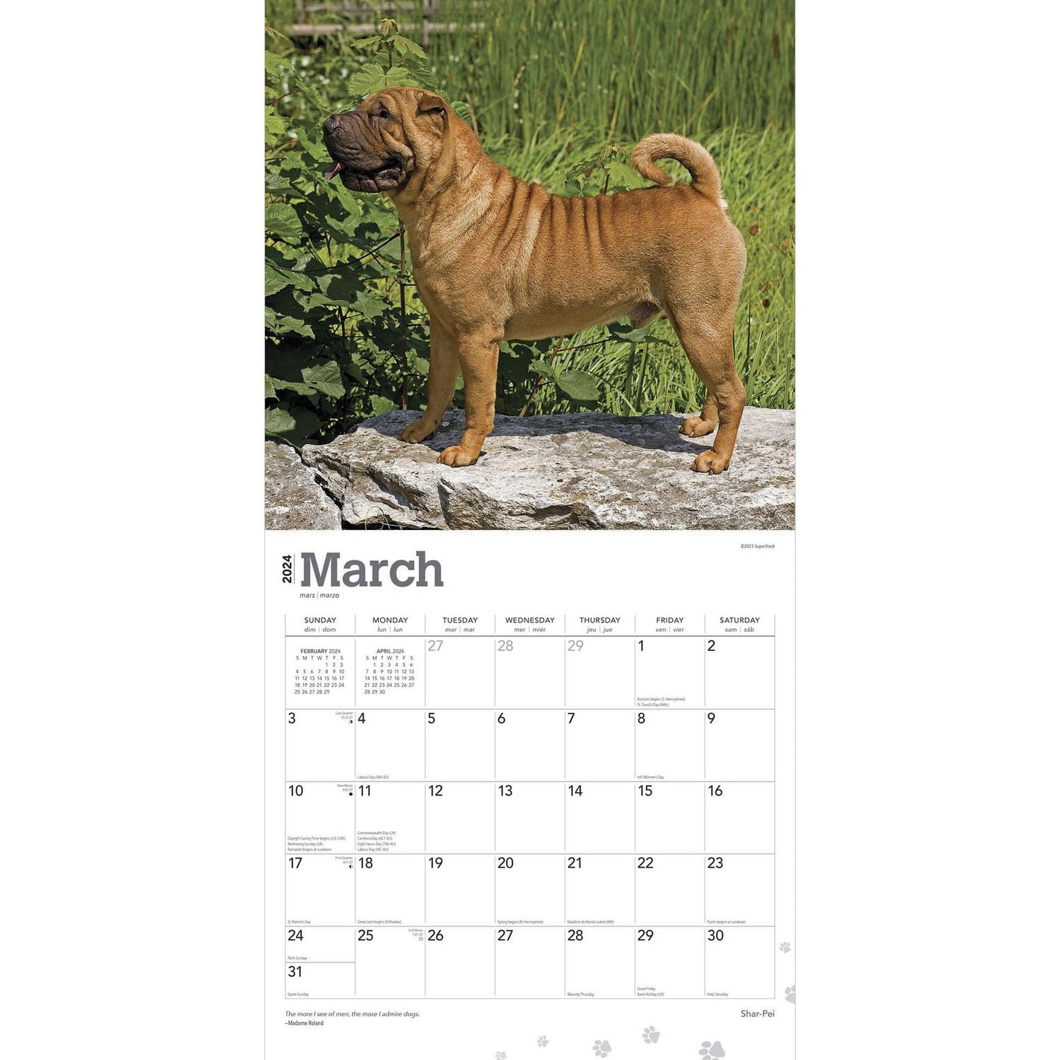 BrownTrout Shar Pei 2024 Mur Carré 30.48x60.96 CM, 9781975464950