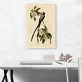 thumbnail image 2 of ARTCANVAS Fork-Tailed Flycatcher Canvas Art Print by John James Audubon - Size: 26" x 18" (0.75" Deep), 2 of 9