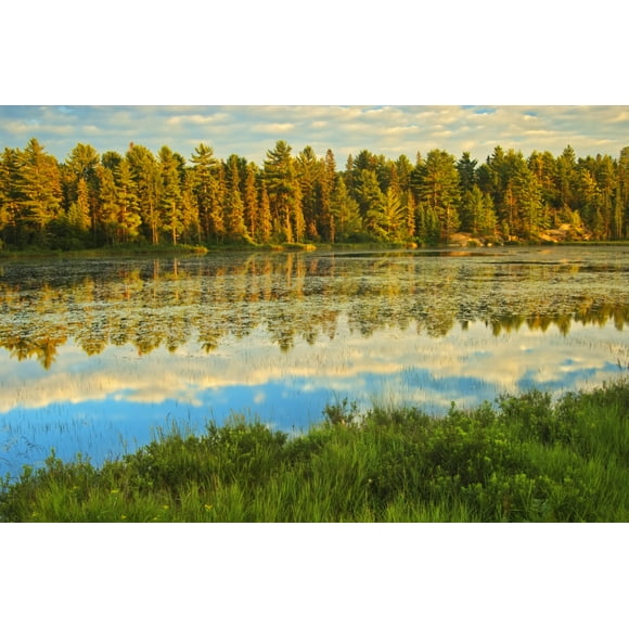Canada, Ontario, Algonquin Provincial Park. Lake reflections at sunset. Poster Print by Jaynes Gallery (18 x 24)