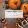 thumbnail image 4 of Little Trees Air Freshener Warm Pumpkin Spice Fragrance 3-Pack, 4 of 9