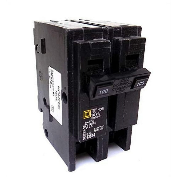 Square D Circuit Breaker, 100 Amp, 2-Pole, HOM2100