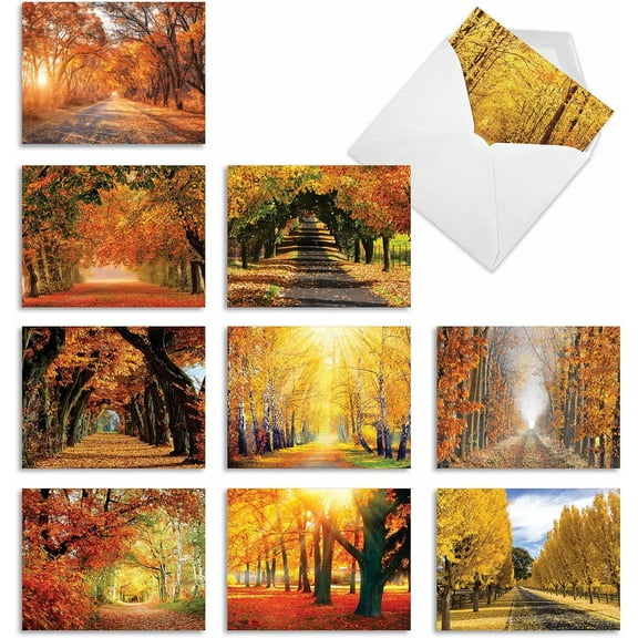 The Best Card Company - 10 Beautiful Note Cards Blank (4 x 5.12 Inch) - Fall and Autumn Season, Boxed Notecard Assortment - Fall Foliage M4971OCB-B1x