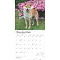 thumbnail image 4 of Shiba Inu 2025 12 X 24 Inch Monthly Square Wall Calendar Pla, 4 of 9