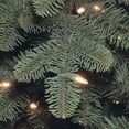 thumbnail image 3 of National Tree Company 7.5 ft. Mountain Noble Blue Spruce Tree with Clear Lights, 3 of 3