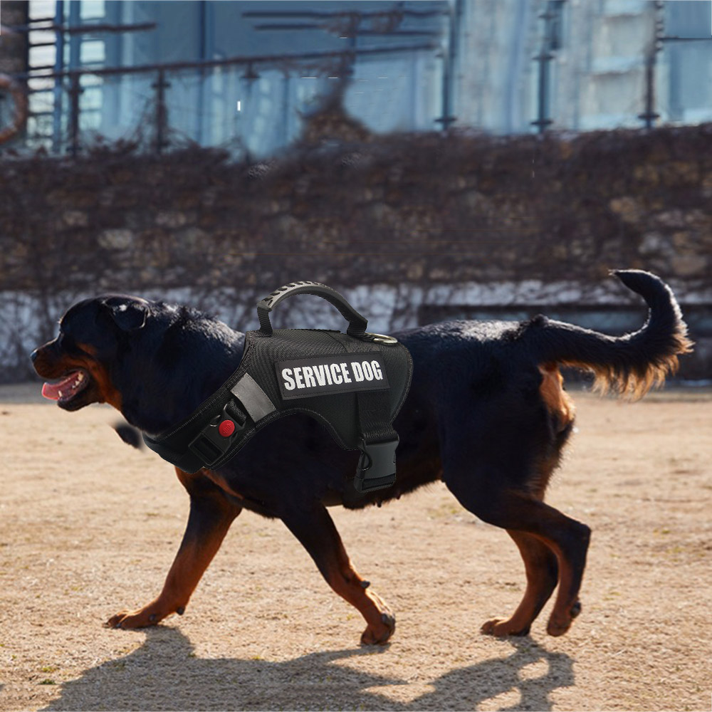 service dog vest walmart