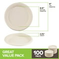 Stock Your Home 100 Compostable HYZ01 Plates 9 Inch (100 Count) Large