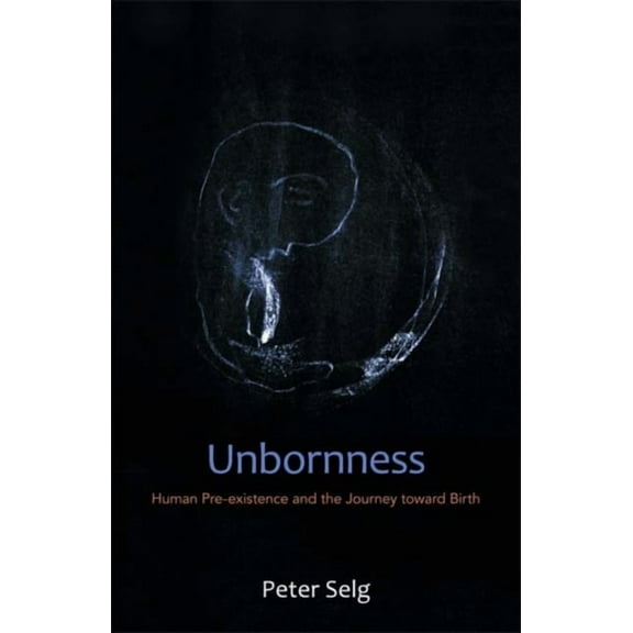Unbornness: Human Pre-Existence and the Journey Toward Birth, (Paperback)