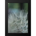thumbnail image 2 of Stramel, Renee W. 13x18 Black Modern Framed Museum Art Print Titled - Macro Dandilion VIII, 2 of 5