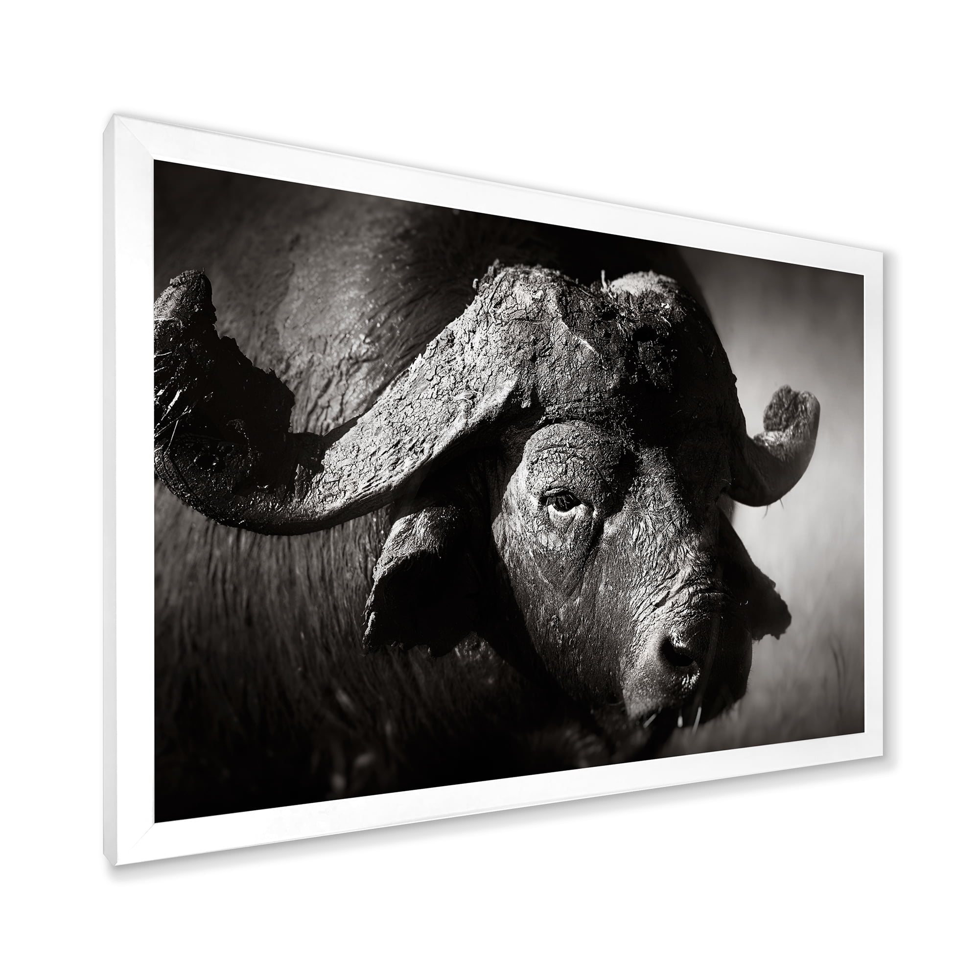Designart 'Black and White Portrait Of Buffalo II' Farmhouse Framed Art Print