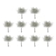 thumbnail image 1 of green Escarcha y hojas verdes Cosas pequeñas como el bosque simulan hojas verdes, 1 of 4