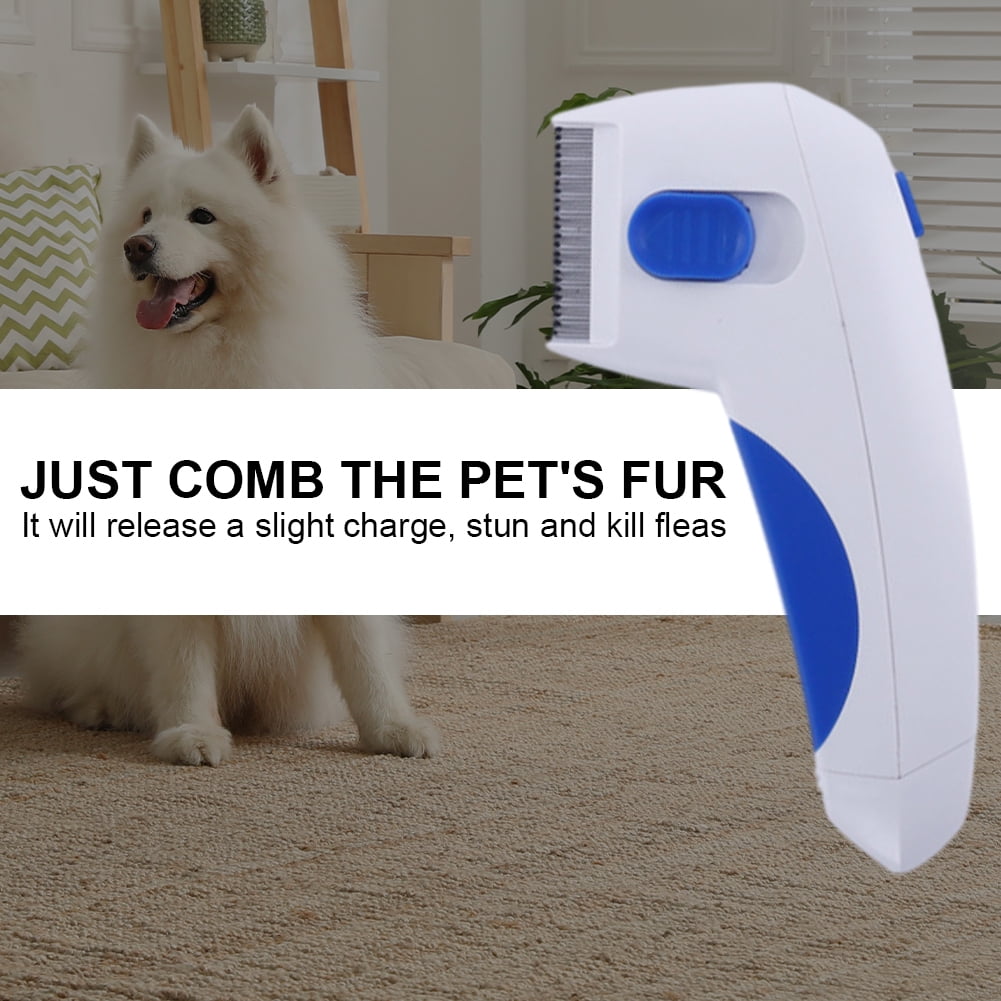 Dog comb that kills fleas sale