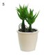 thumbnail image 2 of Decoración hogareña Gwong Planta artificial Bonsai Natural Vivid Plastic Mini Fake Succulent Plant Suculents Plastic Suculents Potted para escritorio Gwong 21078621, 2 of 6