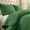 Green, variant on 2/3 PCS Embossed Bedspread Set, 1 Bed Cover with 1-2 Pillowcases, Soft Breathable Hypoallergenic, Washable & Practical, Multiple Styles and Sizes Available(White,Twin)