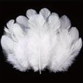thumbnail image 1 of 100pcs Natural Feathers for Weddings, DIY Crafts, and Halloween Decor - 3-5 Inches Long, 1 of 4