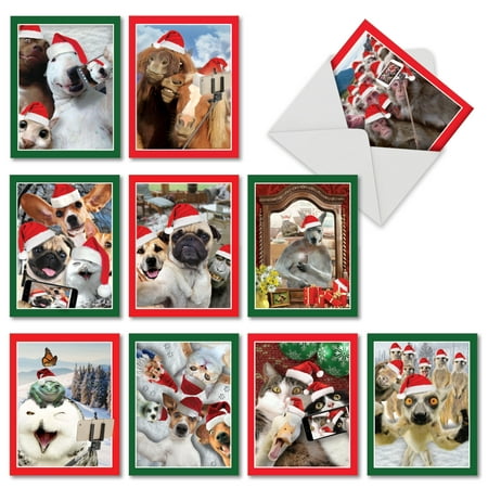 'M2373XTG HOLIDAY ANIMAL SELFIE' 10 Assorted Christmas Thank You Notecards Featuring Sweet and Funny Animals Capturing Christmas Selfies of Themselves and Their Animal Friends, with Envelopes by The