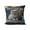 D, variant on Zhourta Adorable Cat Print Pillow Set Bedroom Living Room Sofa Cushion 18x18 Inch for Sofa Living Room Decoration